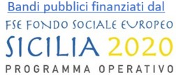 Finanziamenti fondo sociale europeo
